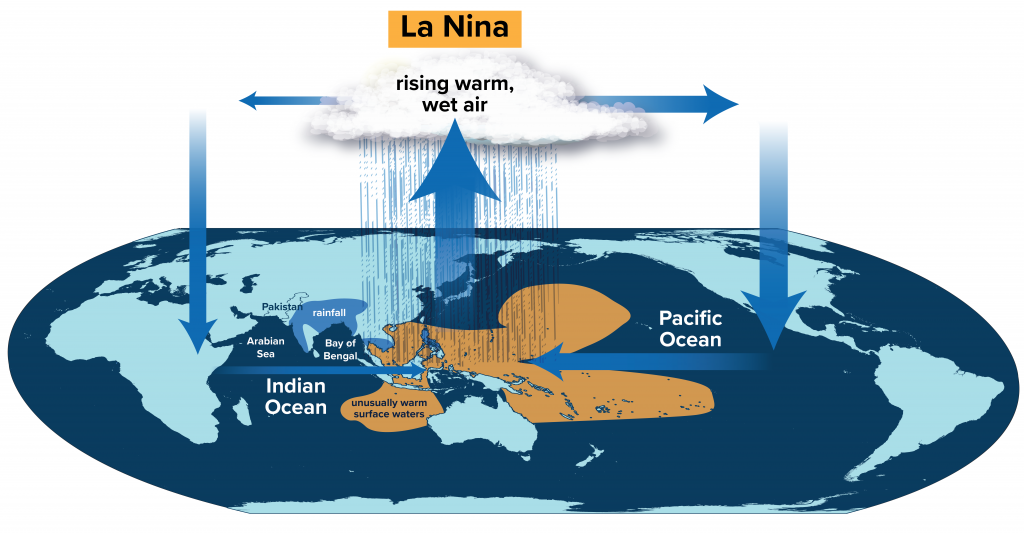 Changes in Pacific Ocean temperature patterns during El Nino/La Nina cycles have far-reaching consequences in other ocean basins, and remote impacts on the Indian monsoon and water resources in the South Asia region. (Illustration by Natalie Renier, © Wood Hole Oceanographic Institution)