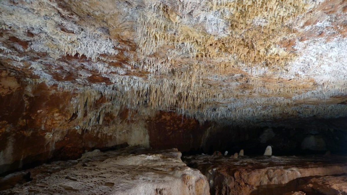 Cape Range cave in Northwestern Australia. Changes in the isotopic composition of the stalagmites in Cape Range and the Kimberley region in northern Australia reflect rainfall over Australia from tropical cyclones and the monsoon. (Photo by Darren Brooks /Australian Speleological Federation, Perth, Australia) 