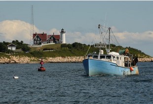 WHOI Sea Grant commits $1.7 million to advancing research in coastal and marine science 